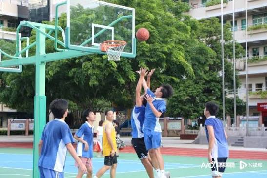 应用商店和官网下载：两条渠道的差别在哪